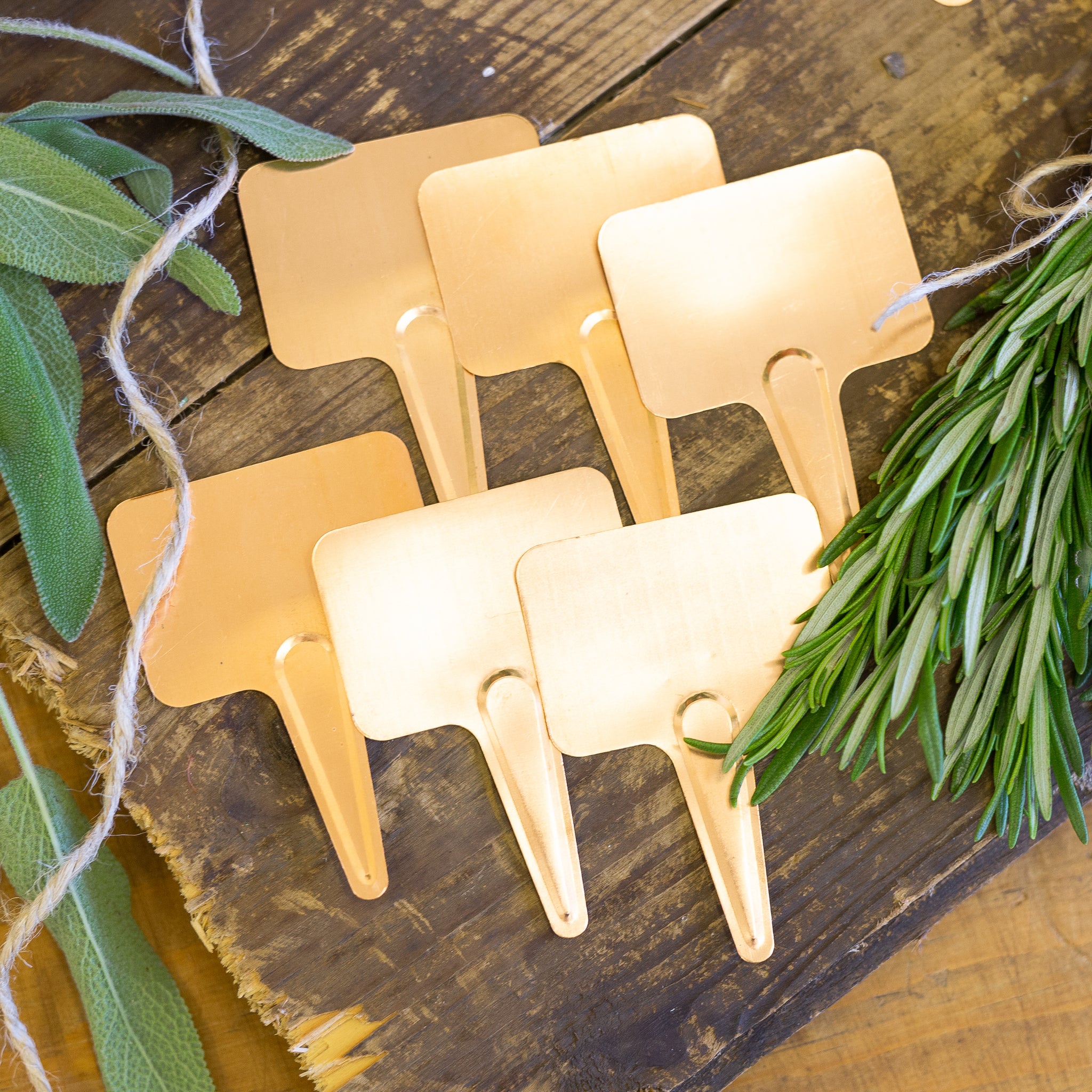 Copper plant labels