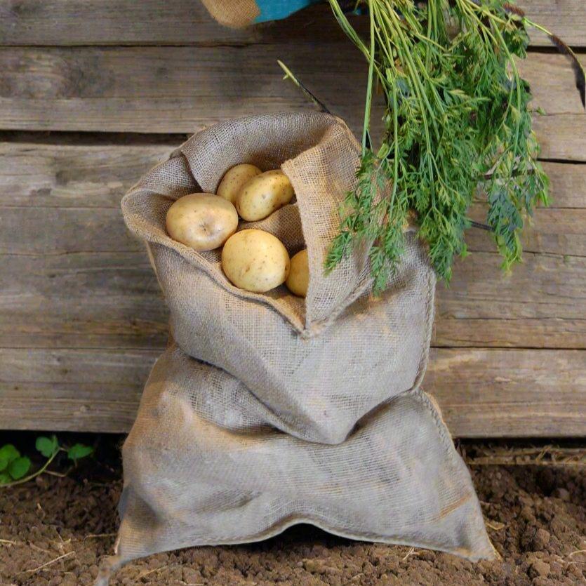 Hessian Storage Sacks