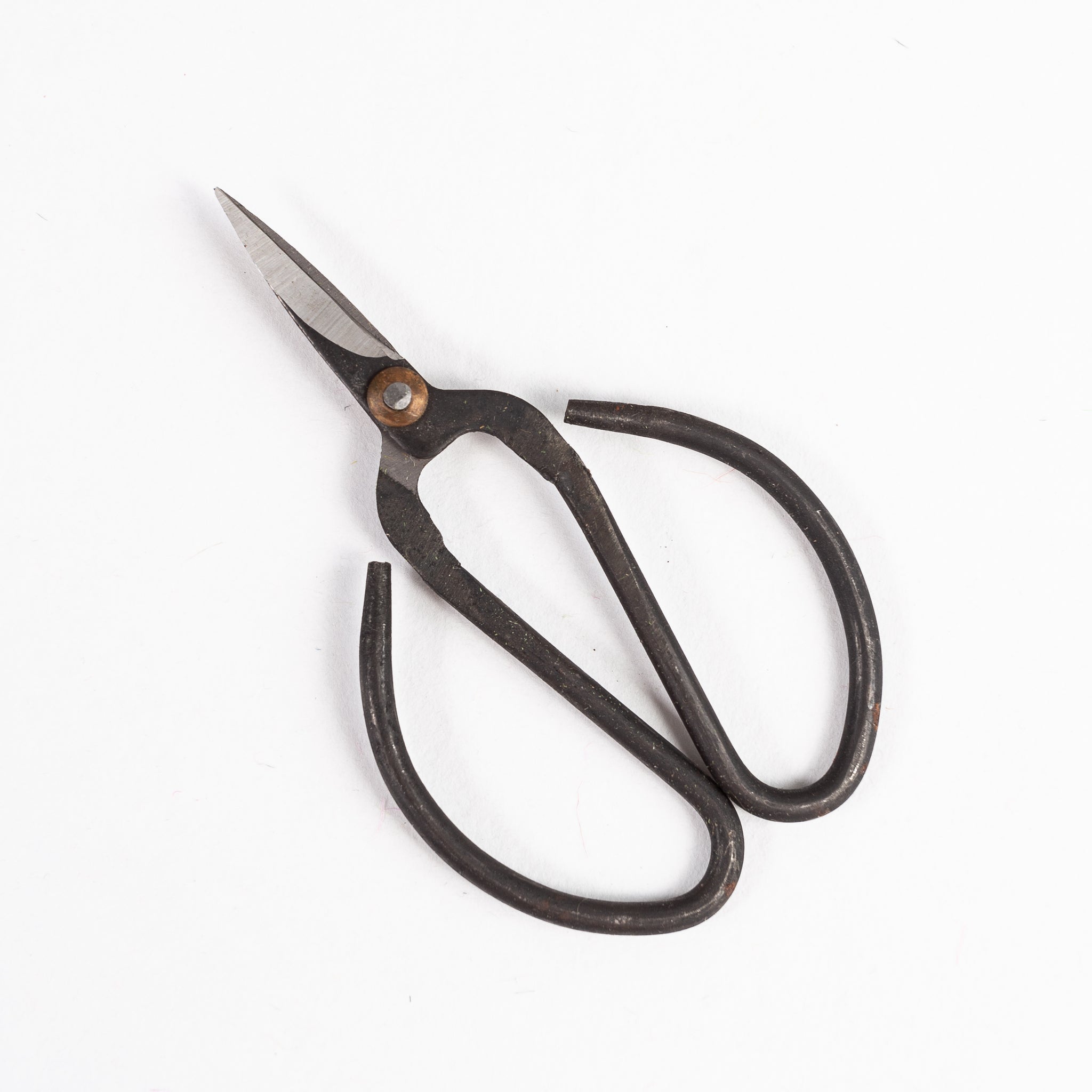 Vintage Style Scissors for Floris, Gardener or Craft work