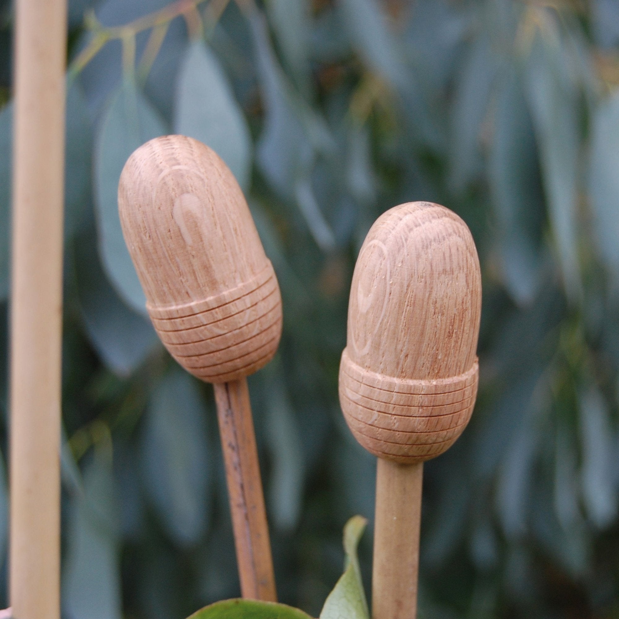 Acorn Cane Caps Handcrafted in Oak