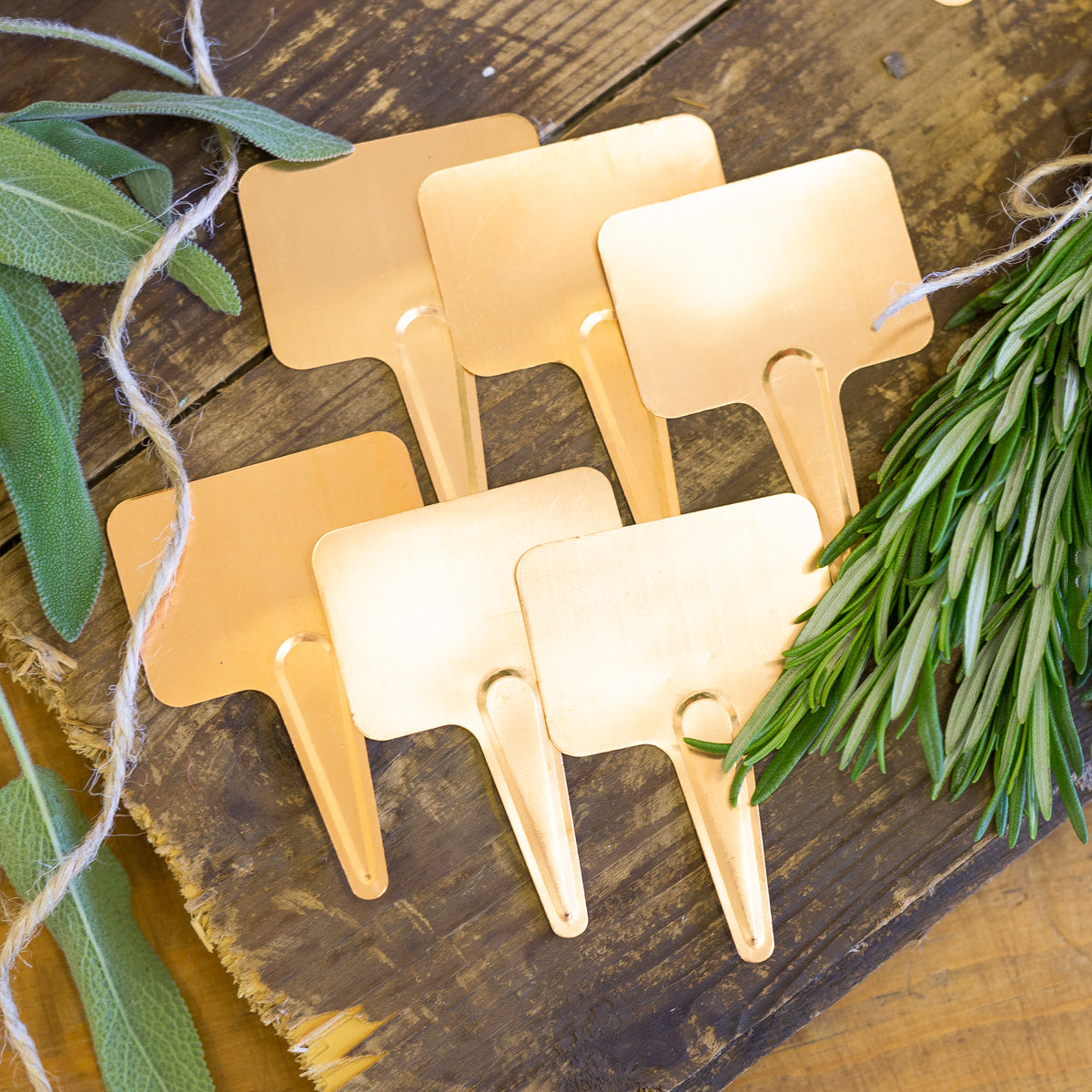 Copper Tags Copper plant labels – Nutscene Wholesale