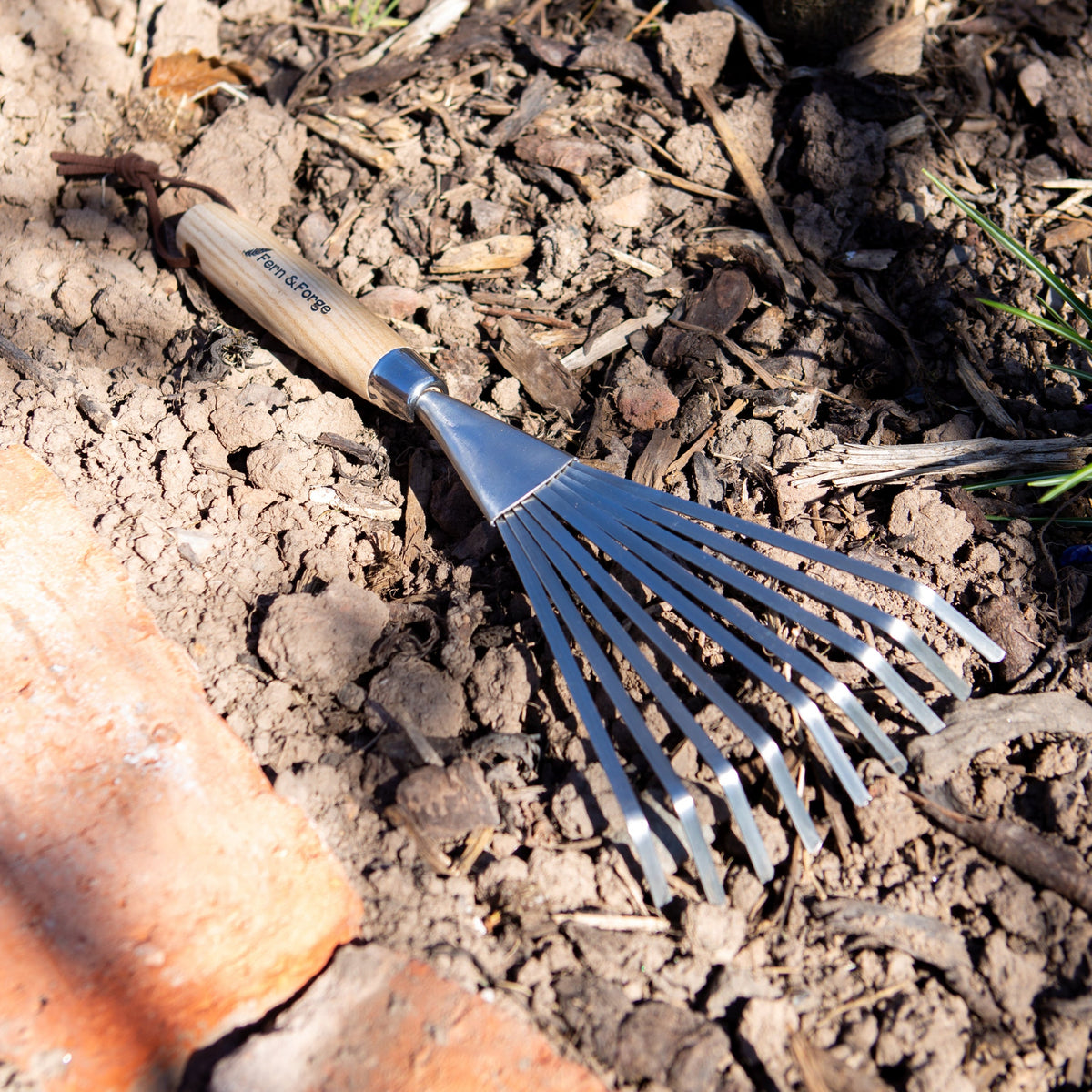 Tree Nut Rake New Tools - Fern & Forge® Shrub Rake – Nutscene Wholesale