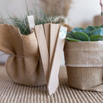 Wooden plant labels with pencil