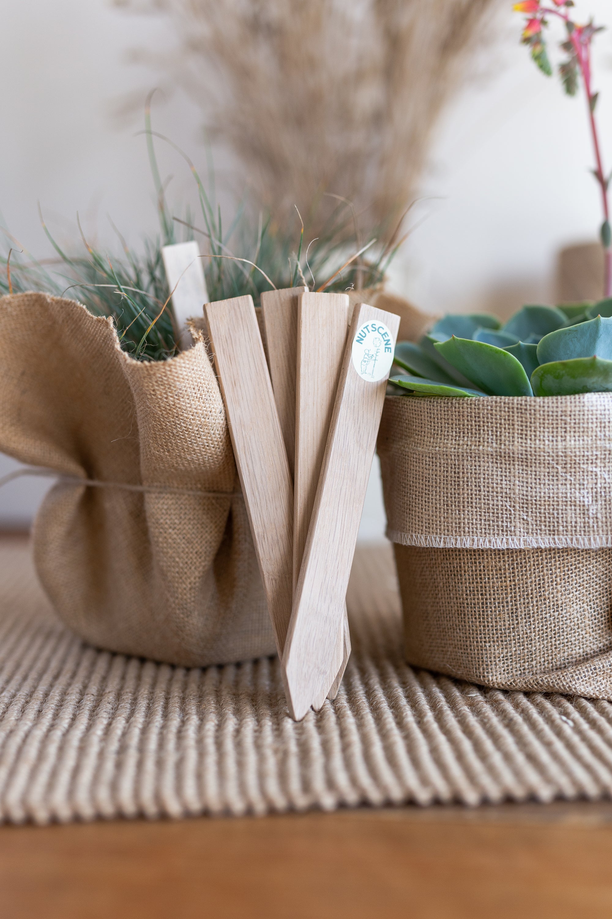 Wooden plant labels with pencil