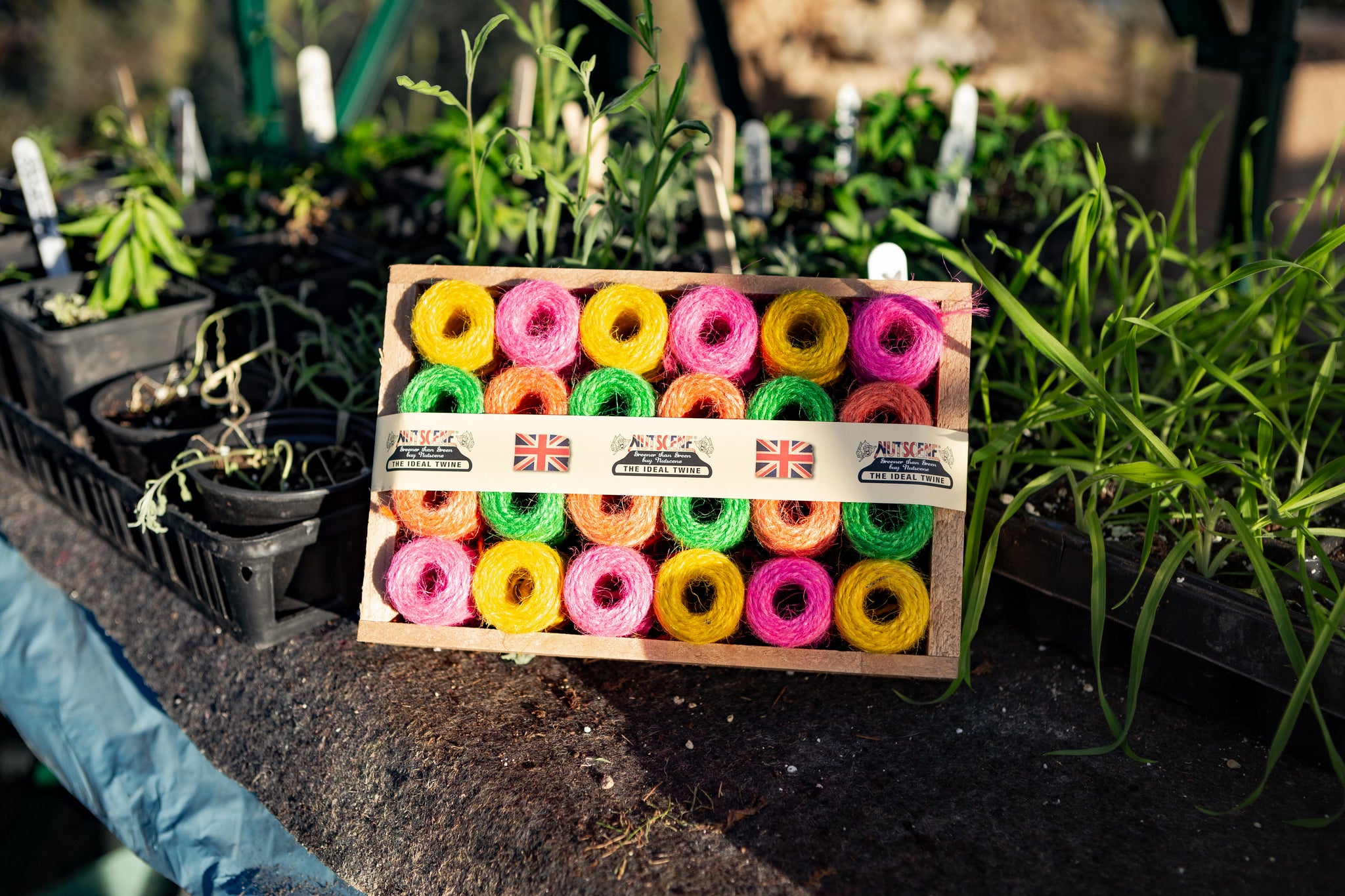 Crate of 24 Mini Neon Spools