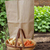 Paper Storage Sack; 3ply block bottom. Ideal for vegetables